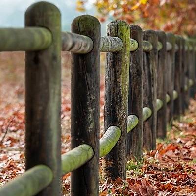 Wooden fence with autumn leaves on ground.