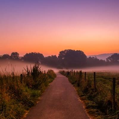 Rural path at sunrise with mist.