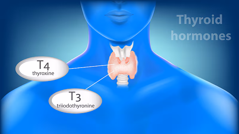 Peptide Therapy for Thyroid Health: Balancing Hormones