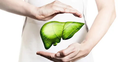 testosterone replacement therapy, peptide therapy, liver health, TRT clinic, peptide clinic, detoxification