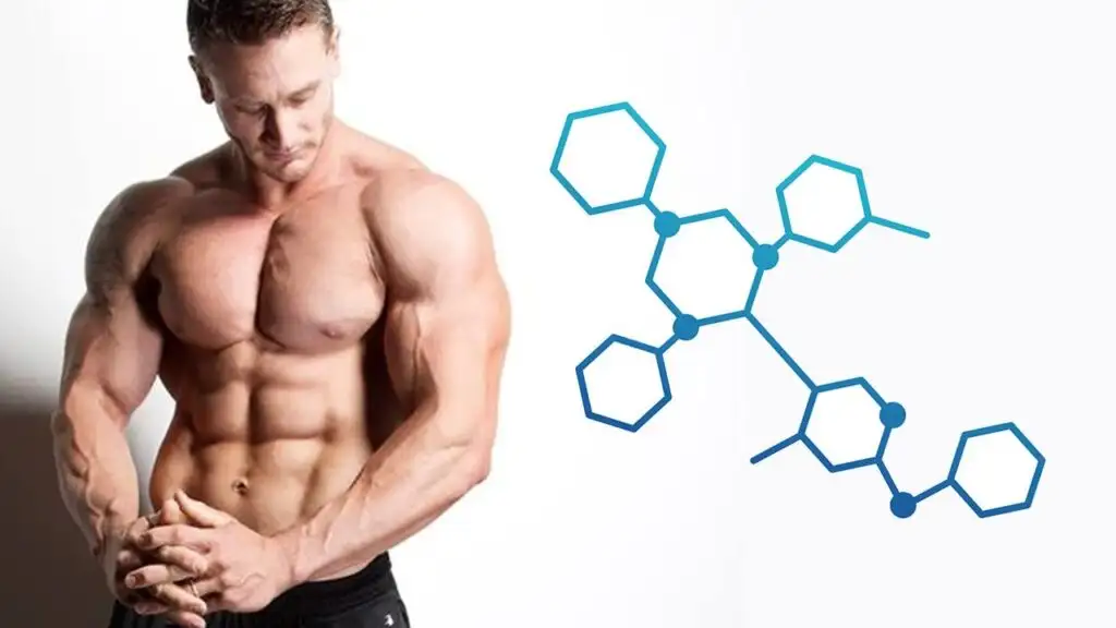 TRT therapy, hormone therapy Arizona, testosterone replacement therapy in Arizona, best TRT clinic near me, peptide clinic near me, TRT dosage recommendations.