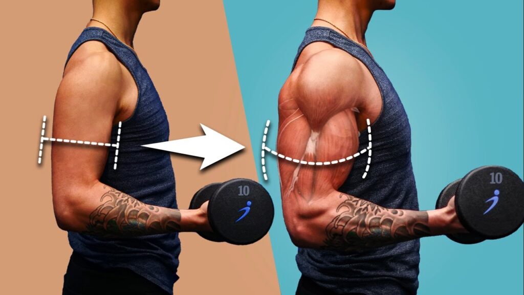 Arm muscle growth transformation with dumbbells.